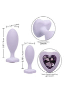 KIT DE 2 PLUGS ANAIS DE SILICONE