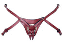 ARNÊS PARA STRAP