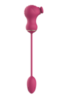 ESTIMULADOR DUPLO FLEXÍVEL E OVO COM VIBRAÇÃO ROSA