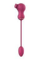 ESTIMULADOR DUPLO FLEXÍVEL E OVO COM VIBRAÇÃO ROSA
