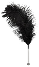 ESPANADOR DE PLUMAS PRETA