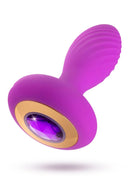 CHSRM PLUG ANAL COM VIBRAÇÃO USB