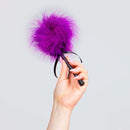 ESPANADOR DE PLUMAS PEQUENO