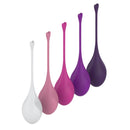 CONJUNTO DE 5 BOLAS KEGEL DE PESOS DIFERENTES