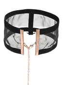 COLAR TRANSPARENTE COM ARGOLA