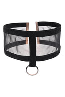 COLAR TRANSPARENTE COM ARGOLA