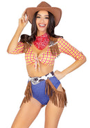 FANTASIA DE COWBOY