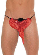 STRING'S DE ELEFANTE