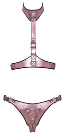 CONJUNTO DE ARNÊS