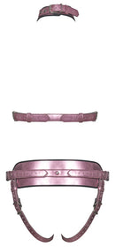 CONJUNTO DE ARNÊS