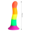 DILDOX POR ENGILY ROSS DILDO COR ARCO-ÍRIS 18 CM