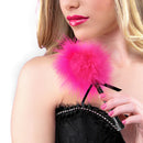 ESPANADOR DE PLUMAS PEQUENO