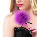 ESPANADOR DE PLUMAS PEQUENO