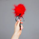 ESPANADOR DE PLUMAS PEQUENO