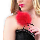 ESPANADOR DE PLUMAS PEQUENO