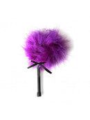 ESPANADOR DE PLUMAS PEQUENO