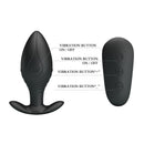 PLUG ANAL REGINA ROYAL COM CONTROLE REMOTO USB