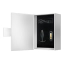 PLUG ANAL REGINA ROYAL COM CONTROLE REMOTO USB