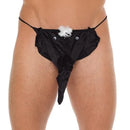 STRING'S DE ELEFANTE