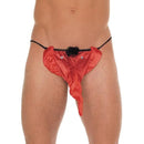 STRING'S DE ELEFANTE