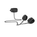 CONJUNTO DE TRELA COM ALGEMAS
