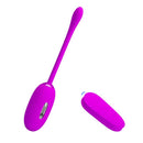 OVO VIBRATÓRIO SHOCK FUN COM CHOQUE ELETROMAGNÉTICO E COMANDO