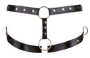 ARNÊS DE CINTA COM ANEL TAM. M/L