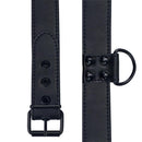 COLEIRA COM TRELA LEASH BLACK MATT