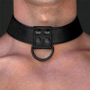 COLEIRA COM TRELA LEASH BLACK MATT