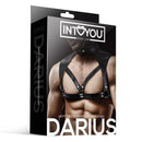 ARNÊS CORPORAL DARIUS