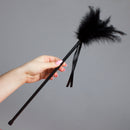 ESPANADOR DE PLUMAS COMPRIDO