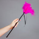 ESPANADOR DE PLUMAS COMPRIDO