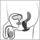 PLUG ANAL VIBRATÓRIO