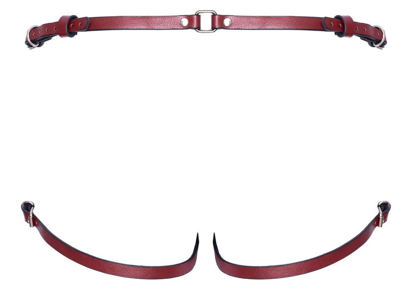 ARNÊS PARA STRAP