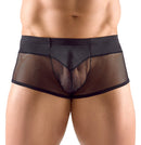 BOXER SEMI TRANSPARENTE