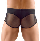 BOXER SEMI TRANSPARENTE