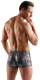 BOXER CINZENTO BRILHANTE