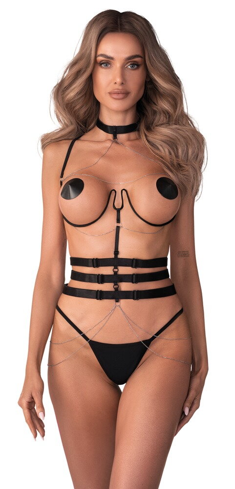CONJUNTO ARNÊS