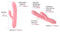 VIBRADOR MORA NEO