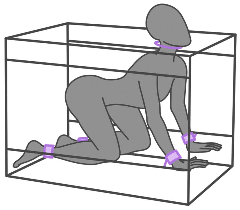 CAIXA BDSM NICHE