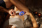 ESTIMULADOR TEMP BY WE-VIBE