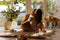 ESTIMULADOR TEMP BY WE-VIBE