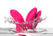 VIBRADOR DE CASAL WE-VIBE CHORUS PRO