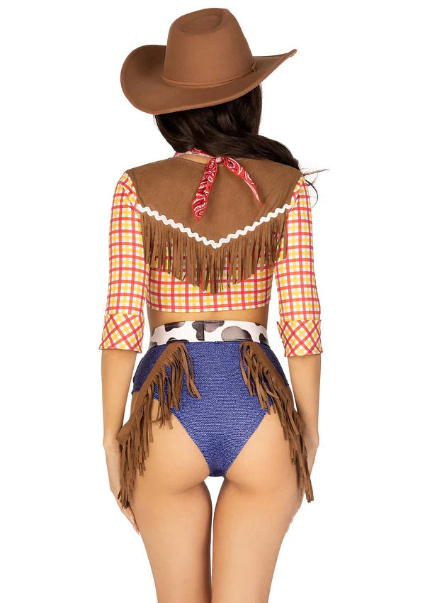 FANTASIA DE COWBOY