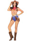 FANTASIA DE COWBOY
