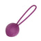 ENGILY ROSS LEIGH BOLA KEGEL DE SILICONE PÚRPURA