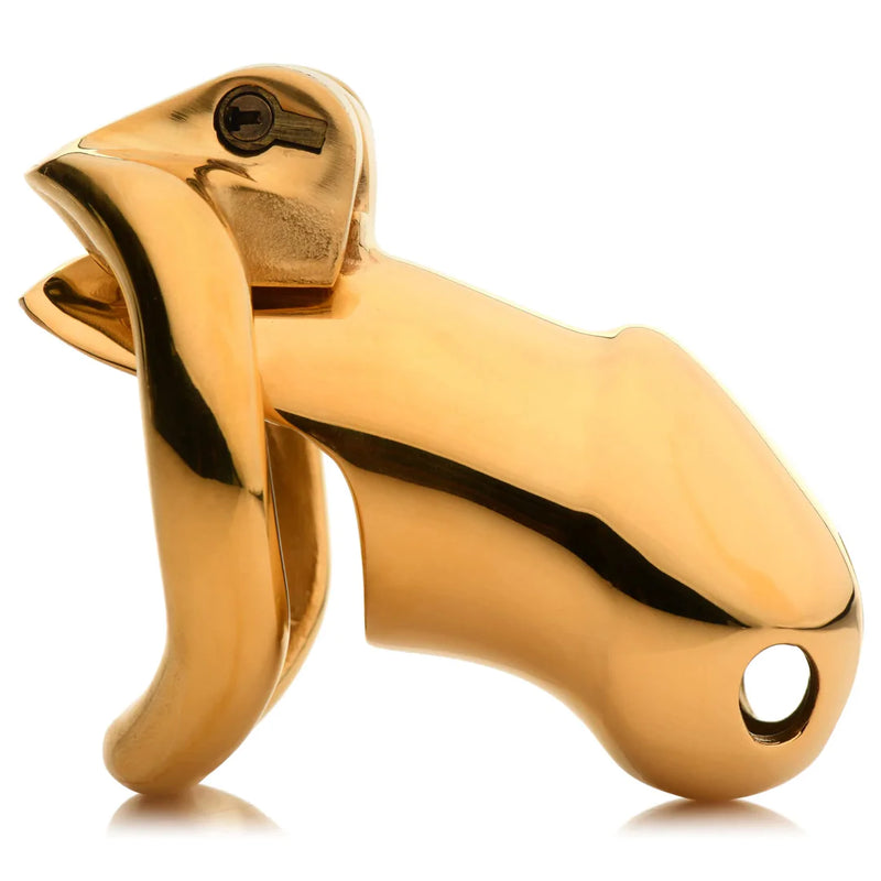 JAULA DE CASTIDADE BANHADO A OURO 18K DOURADO