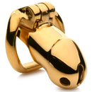 JAULA DE CASTIDADE BANHADO A OURO 18K DOURADO
