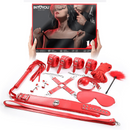 INTOYOU BDSM LINE BONDAGE SET 10 PEÇAS VERMELHO
