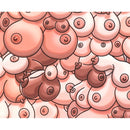 TAPETE DE RATO COM PÉNIS OU SEIOS